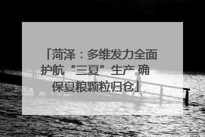 菏泽：多维发力全面护航“三夏”生产 确保夏粮颗粒归仓