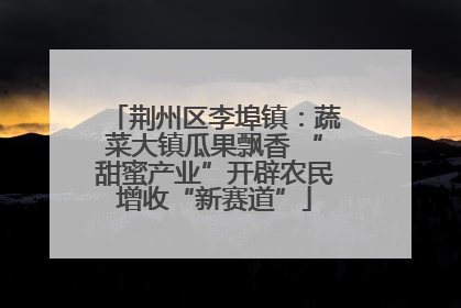荆州区李埠镇：蔬菜大镇瓜果飘香 “甜蜜产业”开辟农民增收“新赛道”