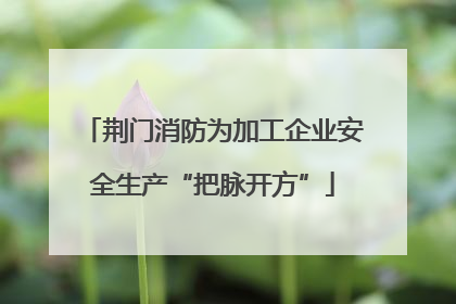 荆门消防为加工企业安全生产“把脉开方”