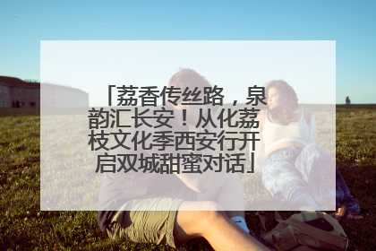 荔香传丝路，泉韵汇长安！从化荔枝文化季西安行开启双城甜蜜对话
