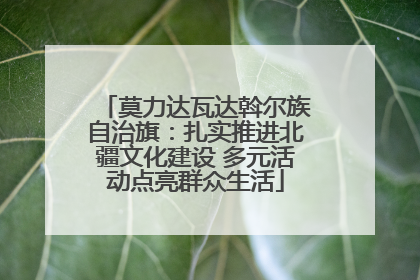 莫力达瓦达斡尔族自治旗：扎实推进北疆文化建设 多元活动点亮群众生活