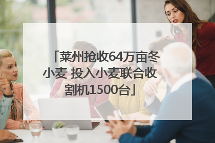 莱州抢收64万亩冬小麦 投入小麦联合收割机1500台