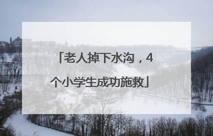 老人掉下水沟，4个小学生成功施救