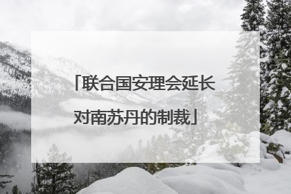联合国安理会延长对南苏丹的制裁