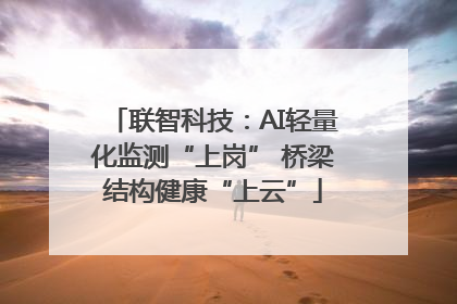 联智科技：AI轻量化监测“上岗” 桥梁结构健康“上云”