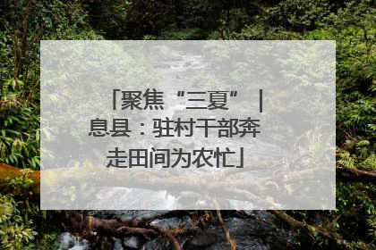 聚焦“三夏”｜息县：驻村干部奔走田间为农忙