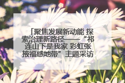 聚焦发展新动能 探索治理新路径——“祁连山下是我家 彩虹张掖福感地带”主题采访活动走进山丹
