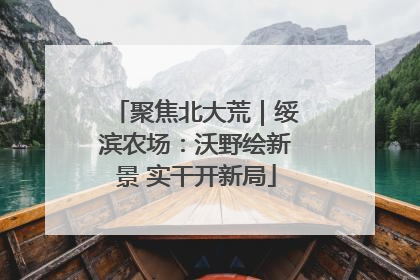 聚焦北大荒｜绥滨农场：沃野绘新景 实干开新局