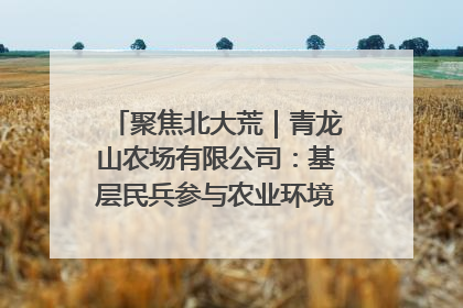 聚焦北大荒｜青龙山农场有限公司：基层民兵参与农业环境综合治理显效