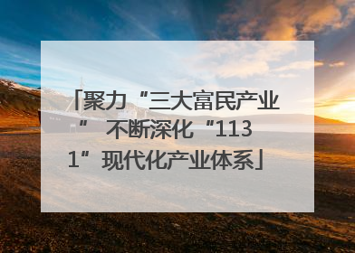 聚力“三大富民产业” 不断深化“1131”现代化产业体系
