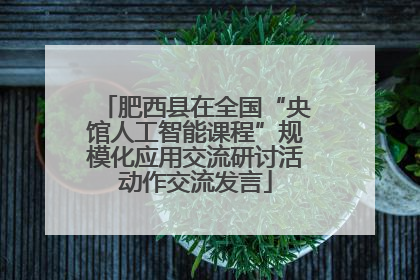 肥西县在全国“央馆人工智能课程”规模化应用交流研讨活动作交流发言