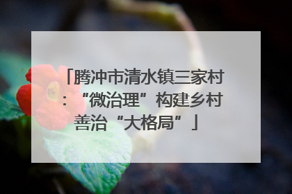 腾冲市清水镇三家村：“微治理”构建乡村善治“大格局”