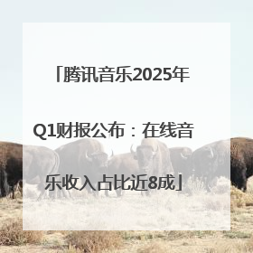 腾讯音乐2025年Q1财报公布：在线音乐收入占比近8成