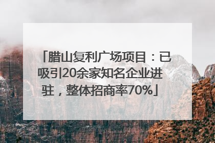 腊山复利广场项目：已吸引20余家知名企业进驻，整体招商率70%