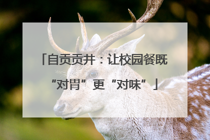 自贡贡井：让校园餐既“对胃”更“对味”