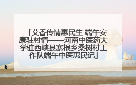 艾香传情惠民生 端午安康驻村情——河南中医药大学驻西峡县寨根乡桑树村工作队端午中医惠民记