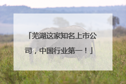 芜湖这家知名上市公司，中国行业第一！