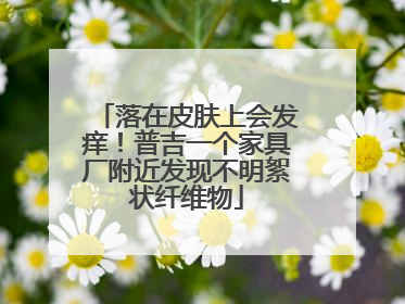 落在皮肤上会发痒！普吉一个家具厂附近发现不明絮状纤维物