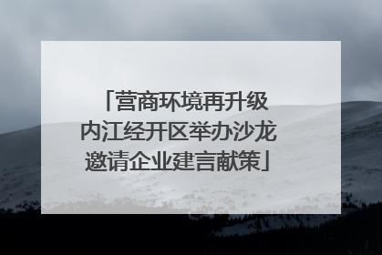 营商环境再升级 内江经开区举办沙龙邀请企业建言献策