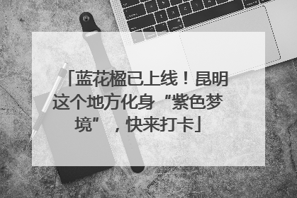 蓝花楹已上线！昆明这个地方化身“紫色梦境”，快来打卡
