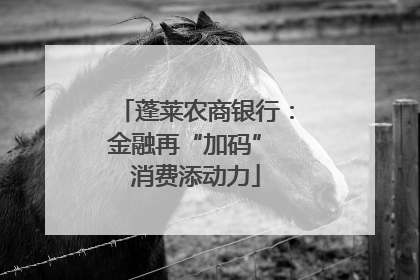 蓬莱农商银行：金融再“加码” 消费添动力