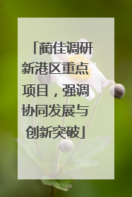 蔺佳调研新港区重点项目，强调协同发展与创新突破
