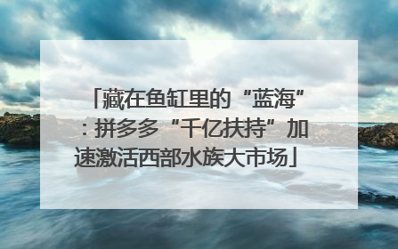 藏在鱼缸里的“蓝海”：拼多多“千亿扶持”加速激活西部水族大市场