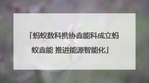 蚂蚁数科携协鑫能科成立蚂蚁鑫能 推进能源智能化