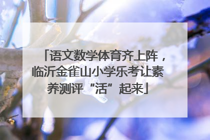 语文数学体育齐上阵，临沂金雀山小学乐考让素养测评“活”起来