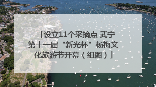 设立11个采摘点 武宁第十一届“新光杯”杨梅文化旅游节开幕（组图）