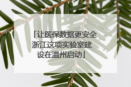 让医保数据更安全 浙江这项实验室建设在温州启动