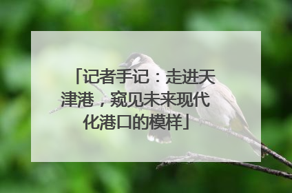 记者手记：走进天津港，窥见未来现代化港口的模样