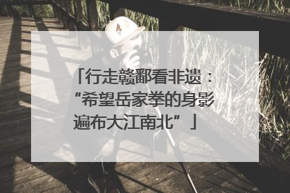 行走赣鄱看非遗：“希望岳家拳的身影遍布大江南北”
