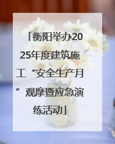 衡阳举办2025年度建筑施工“安全生产月”观摩暨应急演练活动