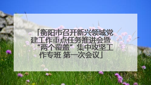 衡阳市召开新兴领域党建工作重点任务推进会暨“两个覆盖”集中攻坚工作专班 第一次会议