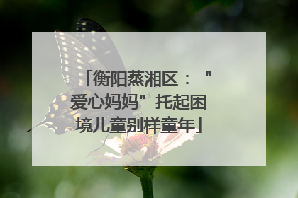 衡阳蒸湘区：“爱心妈妈”托起困境儿童别样童年