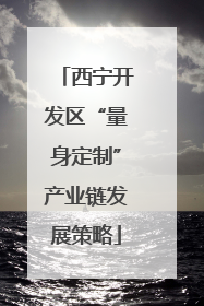 西宁开发区“量身定制”产业链发展策略