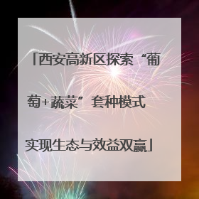 西安高新区探索“葡萄+蔬菜”套种模式 实现生态与效益双赢