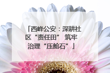 西峰公安：深耕社区“责任田” 筑牢治理“压舱石”