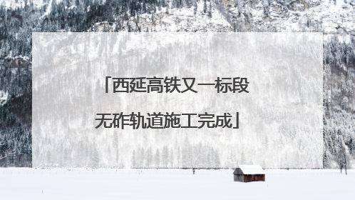 西延高铁又一标段无砟轨道施工完成