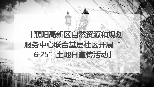 襄阳高新区自然资源和规划服务中心联合基层社区开展“6·25”土地日宣传活动