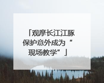 观摩长江江豚保护意外成为“现场教学”