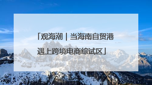 观海潮｜当海南自贸港遇上跨境电商综试区
