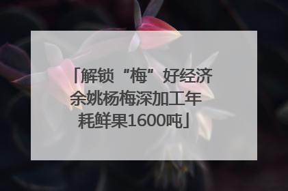 解锁“梅”好经济 余姚杨梅深加工年耗鲜果1600吨