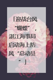 迎战台风“蝴蝶”，湛江海事局启动海上防风“总动员”
