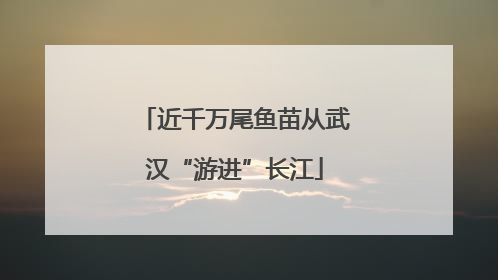 近千万尾鱼苗从武汉“游进”长江