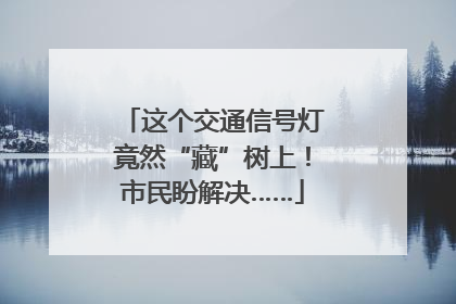 这个交通信号灯竟然“藏”树上！市民盼解决……