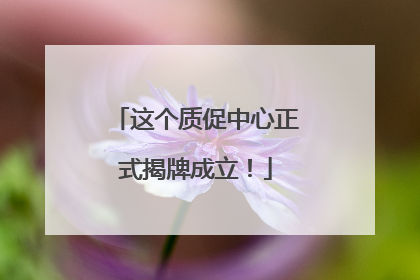 这个质促中心正式揭牌成立！