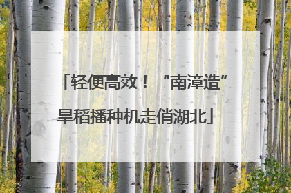 轻便高效！“南漳造”旱稻播种机走俏湖北