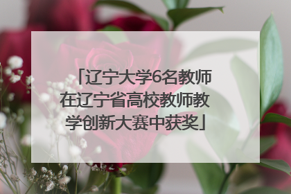 辽宁大学6名教师在辽宁省高校教师教学创新大赛中获奖